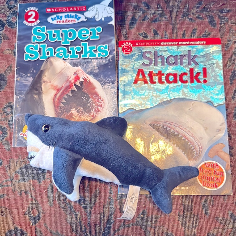 🦈 shark book lot